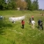 Picture 036